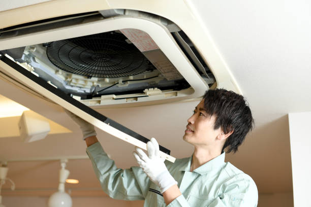 Best Emergency Air Duct Cleaning  in Zephyrhills North, FL